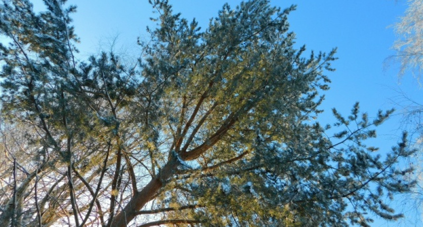    автор фото Вячеслав Вольгин