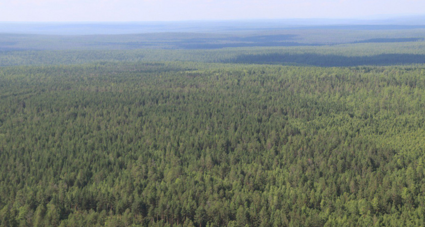    Фото: правительство Иркутской области