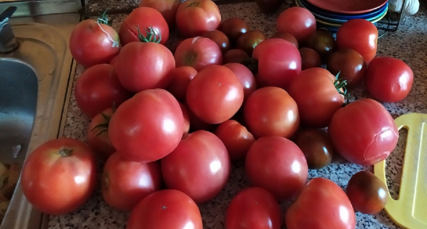    Фото Анастасии Дмитриевой