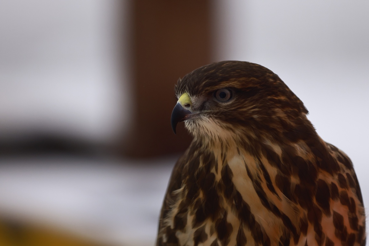    Павел Хацаюк / ИД «Вечерняя Казань»