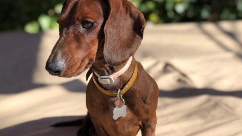     Фото: @EyeEm / ru.freepik.com