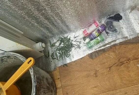 Фото: ГУ МВД России по Челябинской области