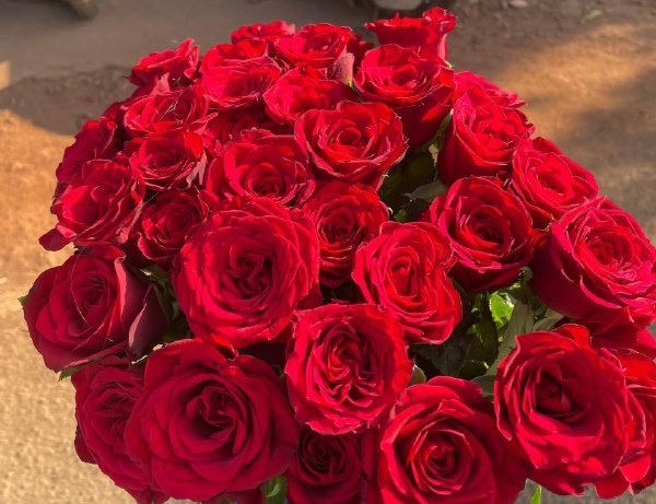 Заказать букет цветов в Goa