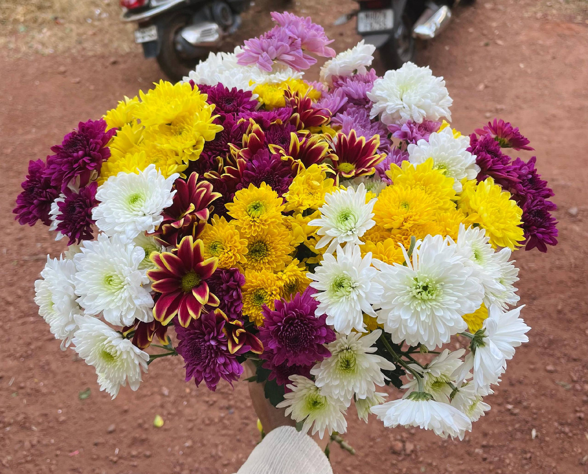 Купить букет цветов в Goa