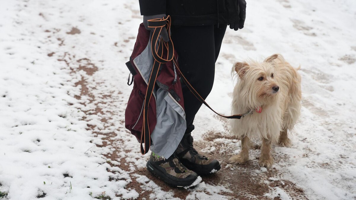   Фото: ИЗВЕСТИЯ/Валентин Егоршин