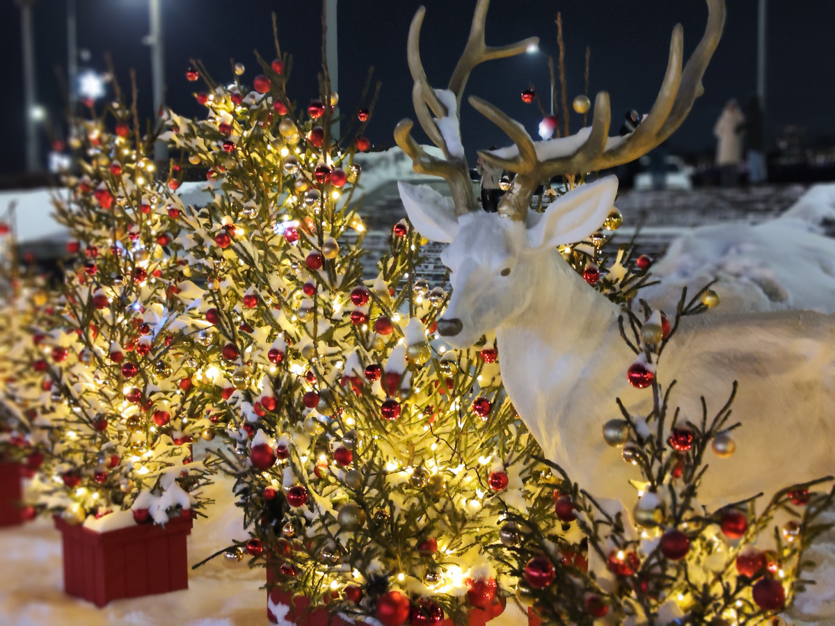 Синоптики обещают морозную погоду, но без садков.  Фото: ФедералПресс / Кобалия Ксения