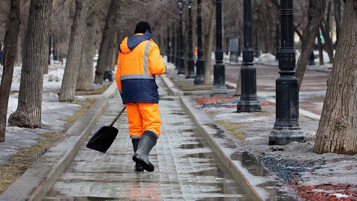    Фото: Shutterstock