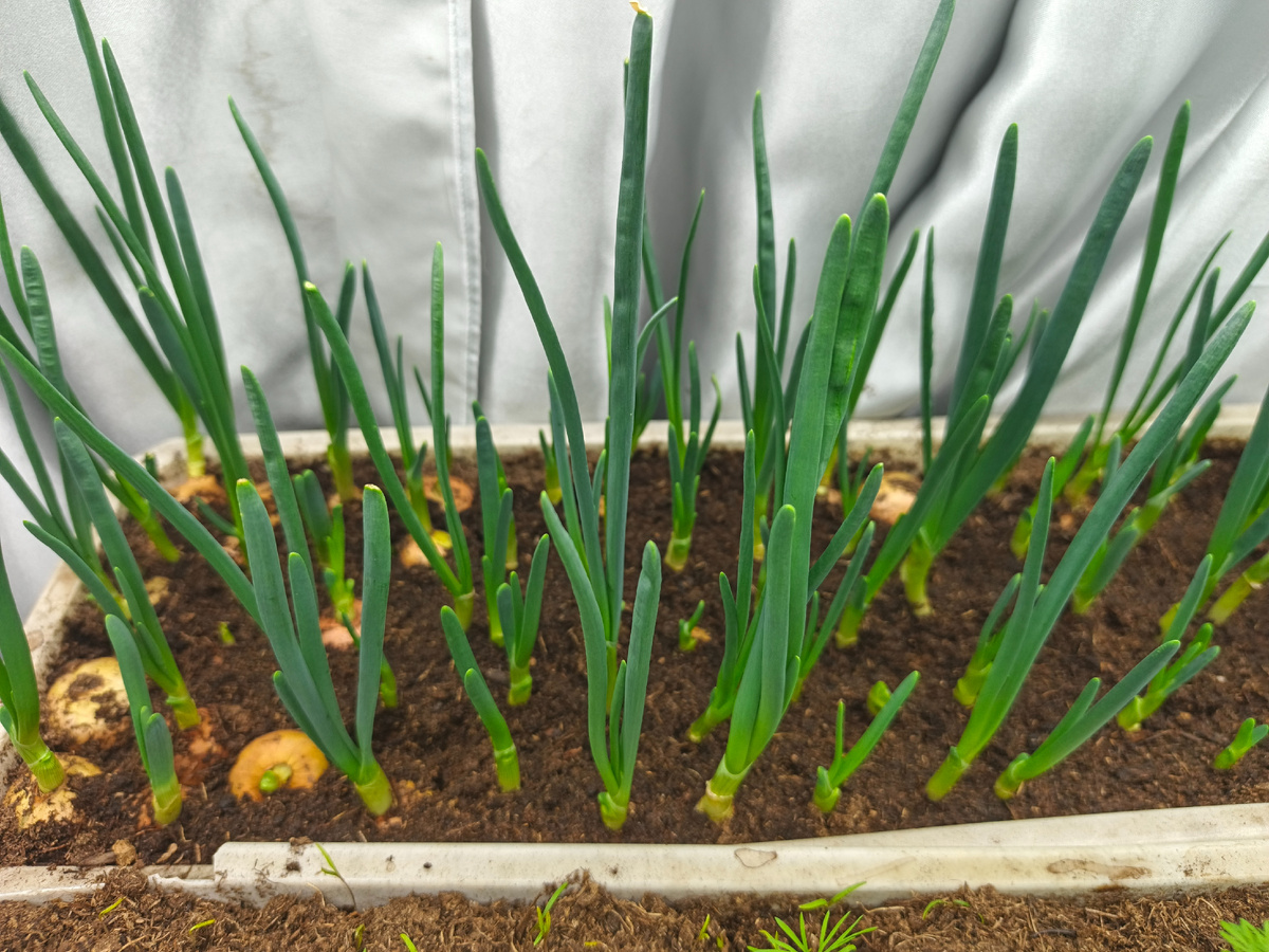 Фото автора.