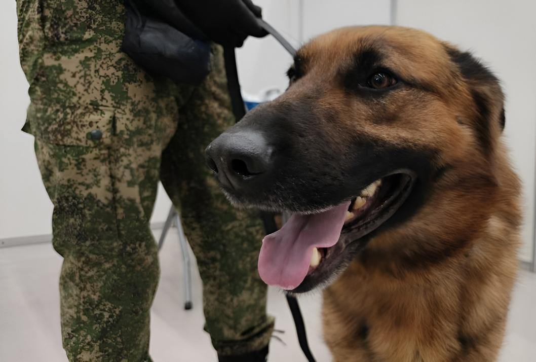 Фото: Сергей Елесин, ИА "Тюменская линия" (архив)