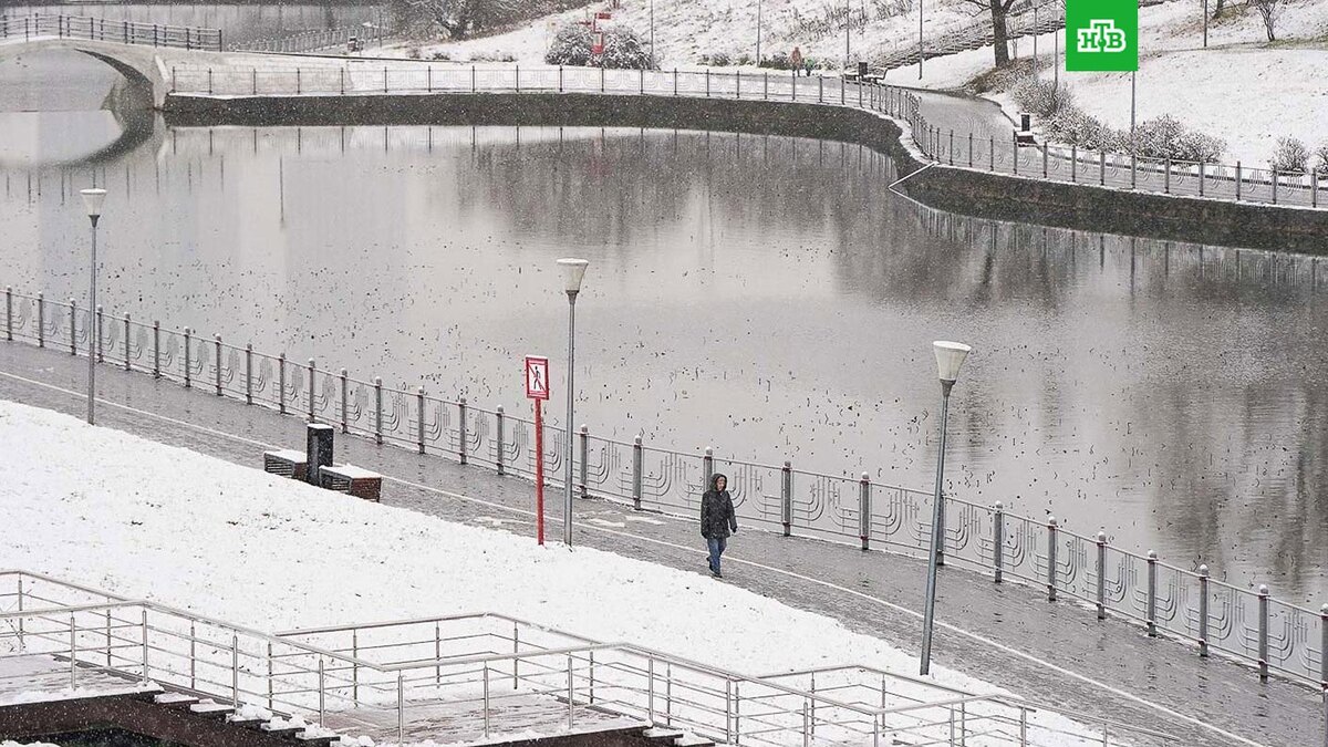    Фото: Евгений Самарин / mos.ru