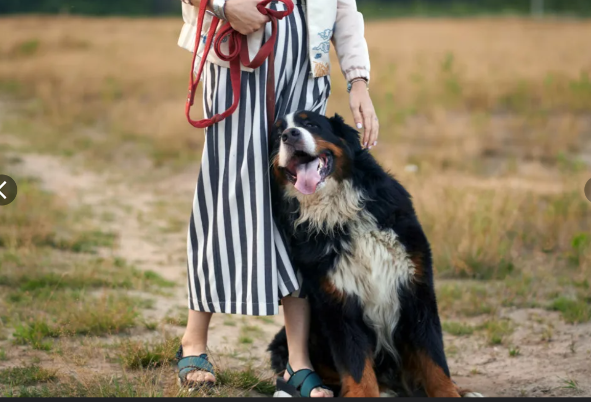 вот примерно так!) 