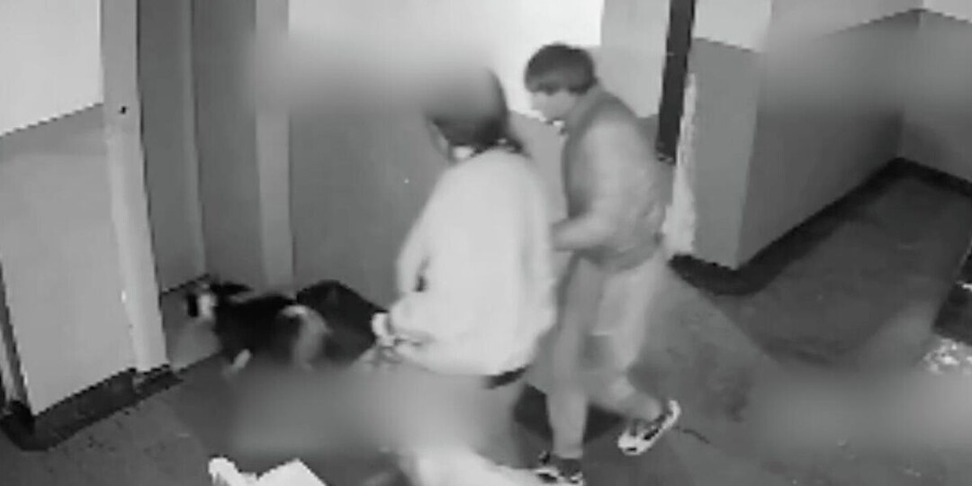 Житель Новокузнецка, избивший своего щенка, получил 3,5 года колонии