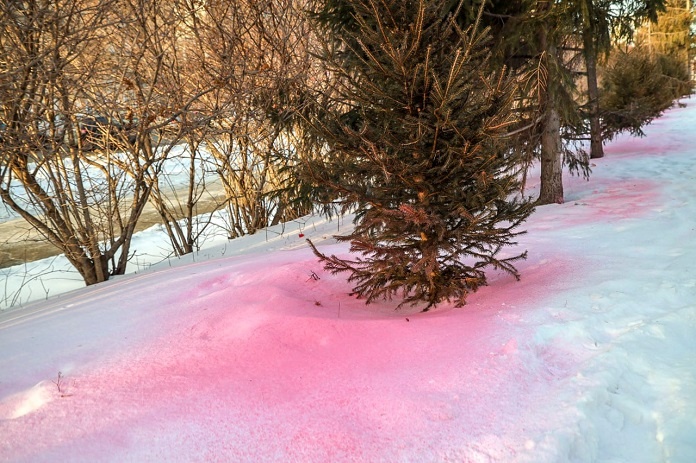    Фото из ТГ-канала мэрии Новосибирска