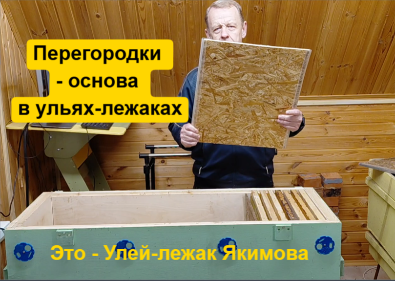 Перегородка из ОСБ и улей лежак