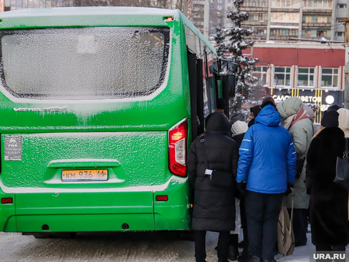     Бесплатный автобусный тур стартует в Кургане
