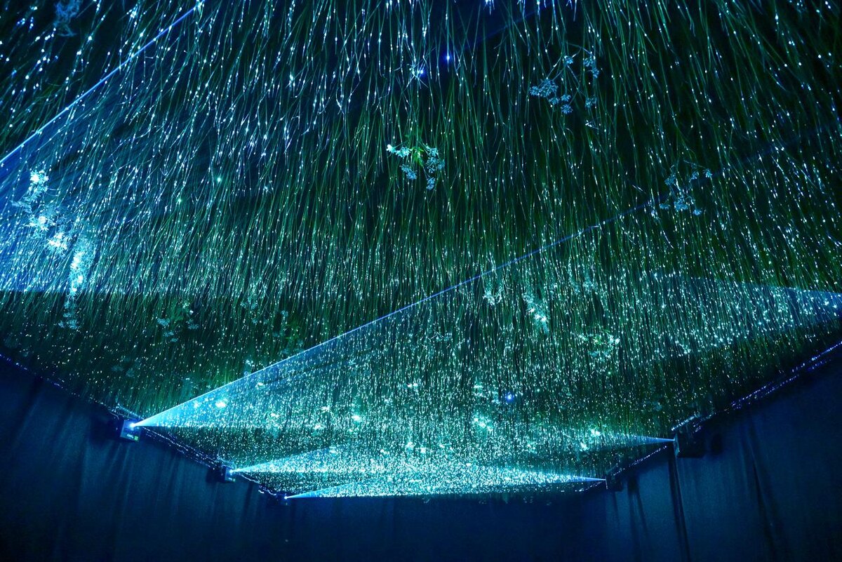 The Day We Left Field, фото Михаил Рябинин