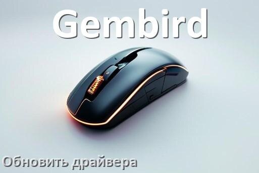 
Как обновить драйвер мыши Gembird и установить в Windows 10 и 11