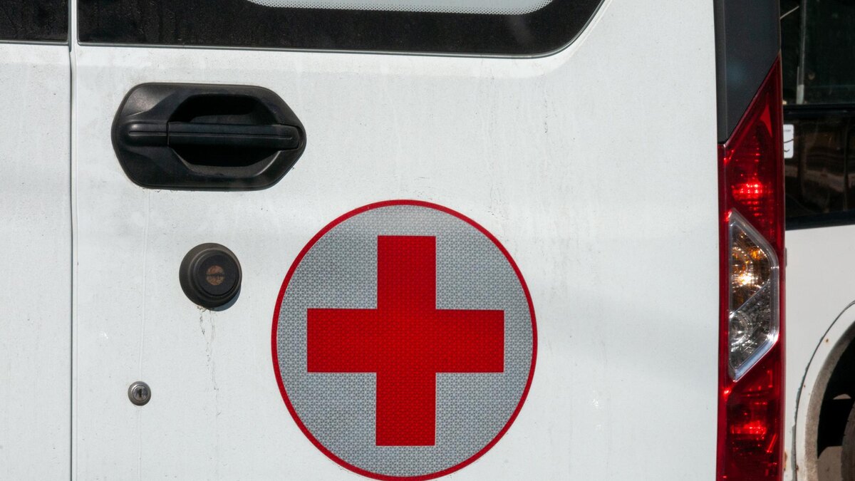    Фото: Svetlana Vozmilova/Global Look Press