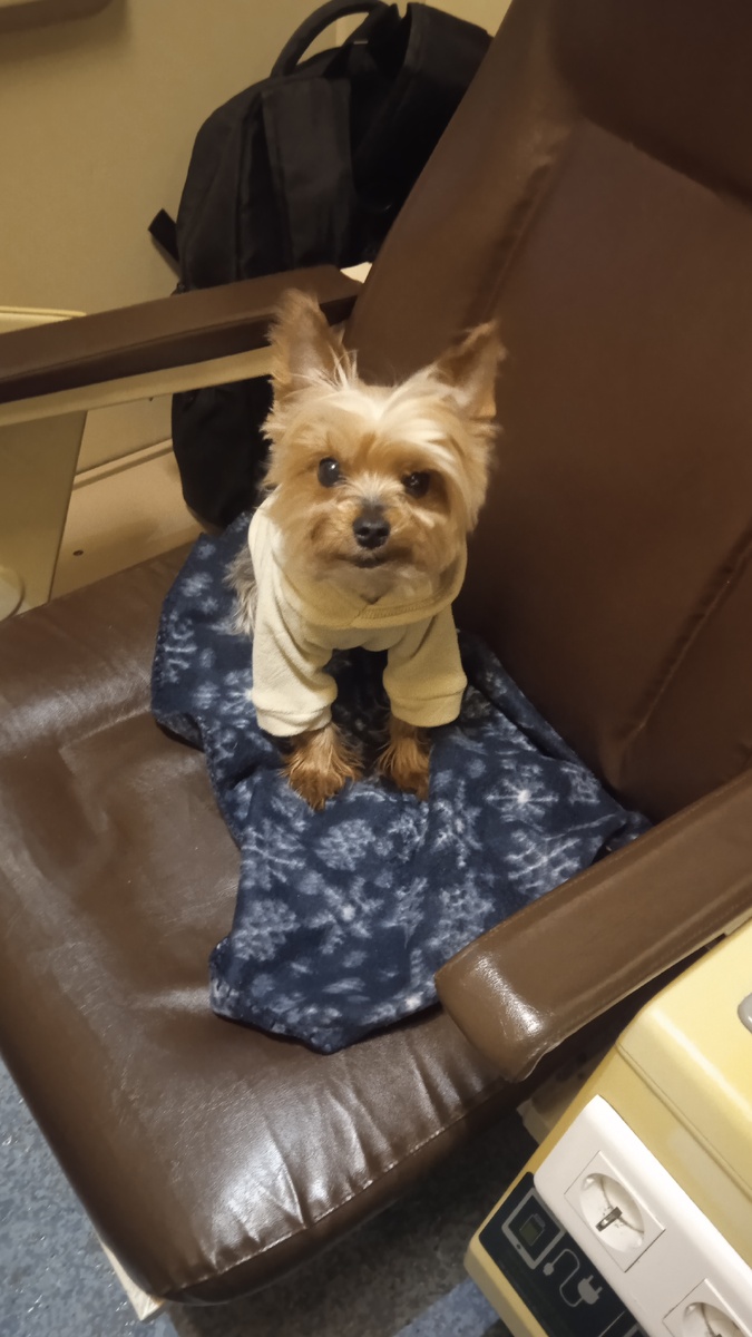 Чилл в поезде. Все фото автора