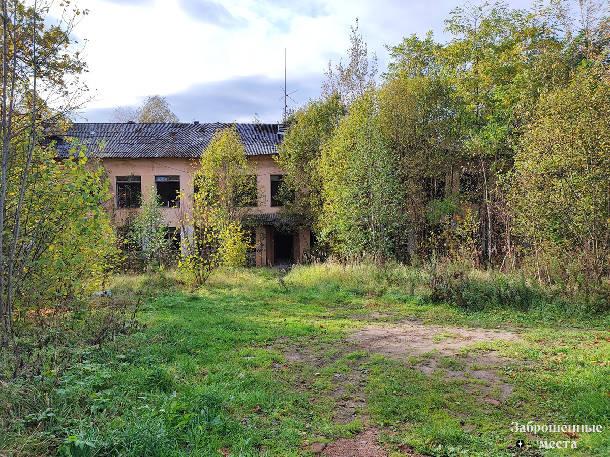 Заброшенная полушкинская школа под Кубинкой