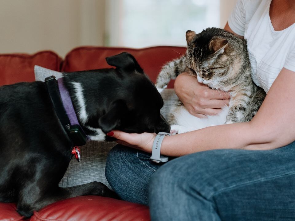    Фото: istockphoto.com/Michele Pevide