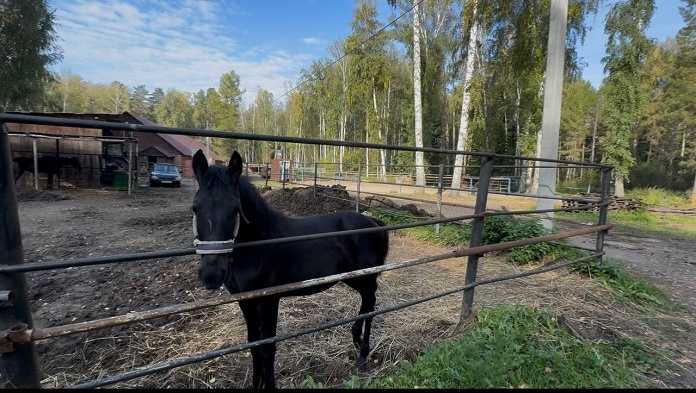    Фото из ТГ-канала прокуратуры Новосибирской области
