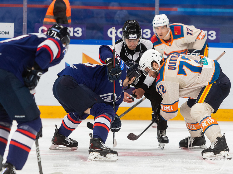     Фото: Андрей Холмов/ХК «Лада»