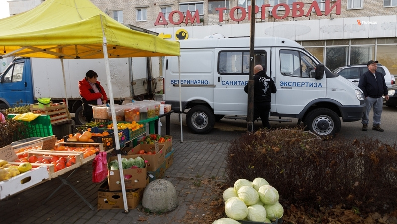      Фото: Дмитрий Ахмадуллин / / ИА «Победа26»