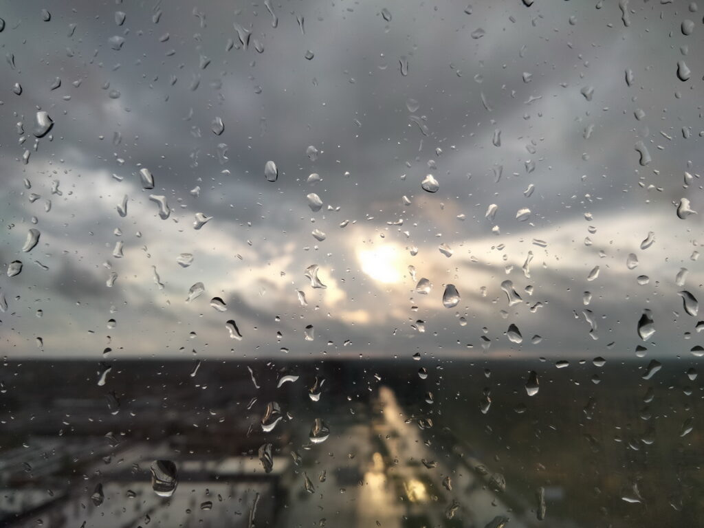    Анастасия Петрова