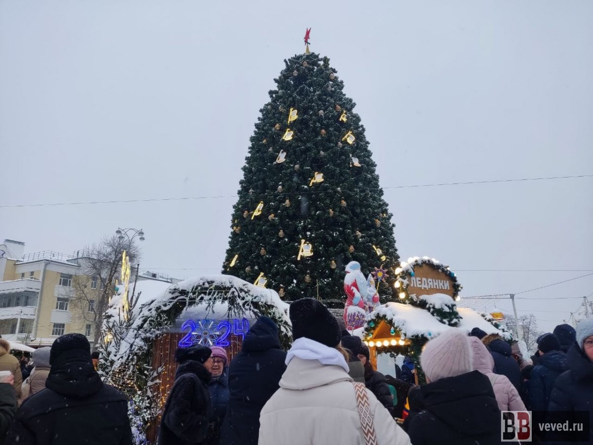     Фото: Юлия Медведева / Вечерние ведомости