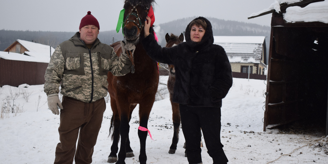 Как усть-кутская семья запрягла мечту в деревенские сани