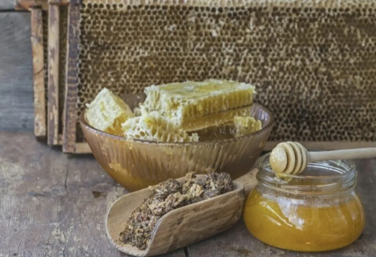 Мед с прополисом: полезные свойства, противопоказания, рецепты для применения