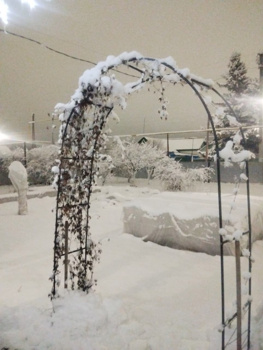 Лилиана Миңнегалиева фотосы.