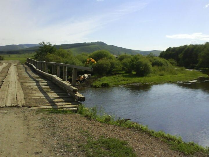    Фото:Светлана Калинина