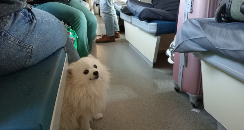    Фото volgogradru.com