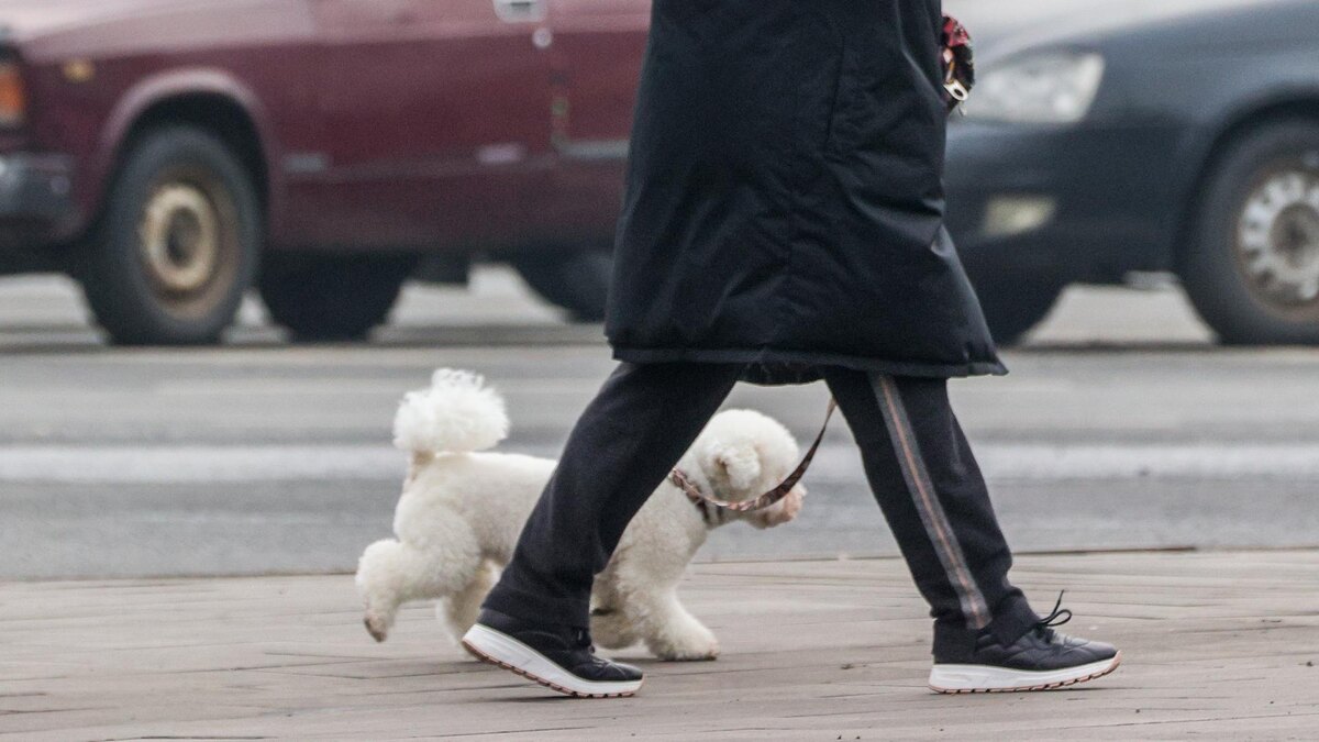    Фото: Bulkin Sergey/news.ru