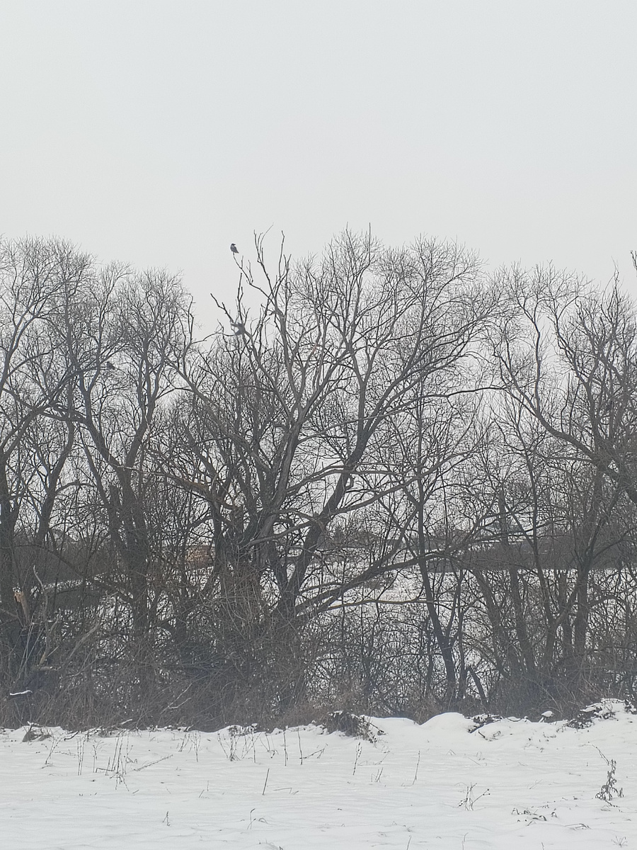 Зимние виды села