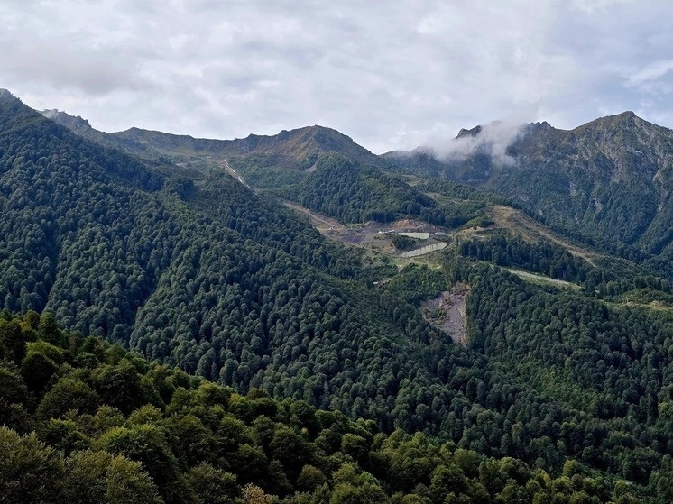     Фото: МК в Сочи