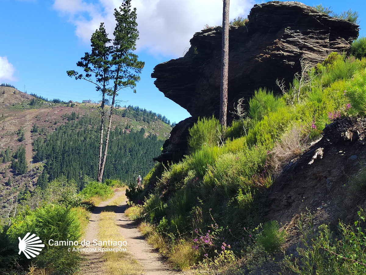 Обычный пейзаж на пути
