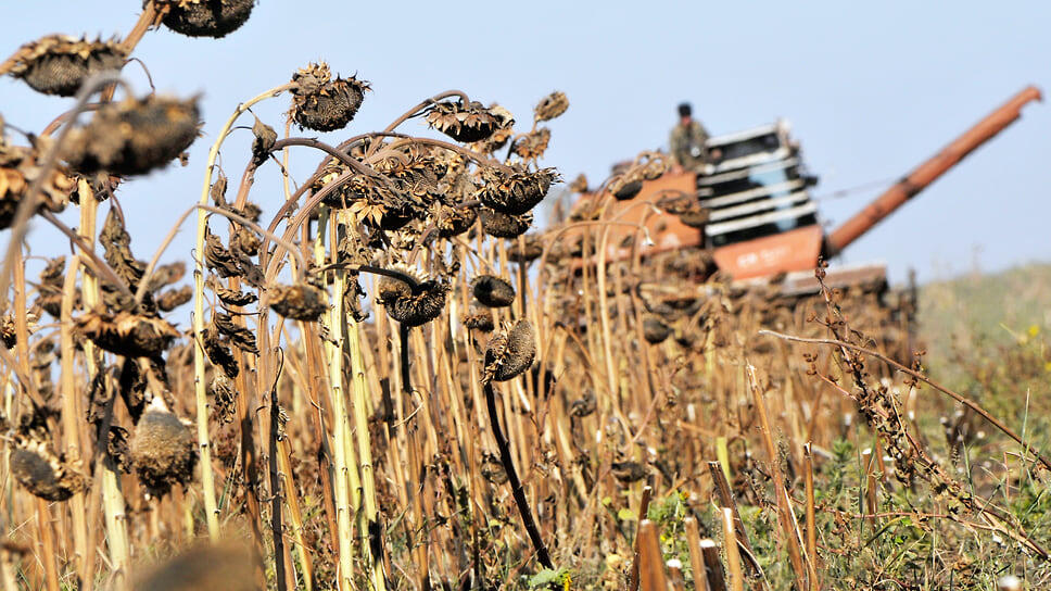 Фото: Андрей Архипов / Коммерсантъ