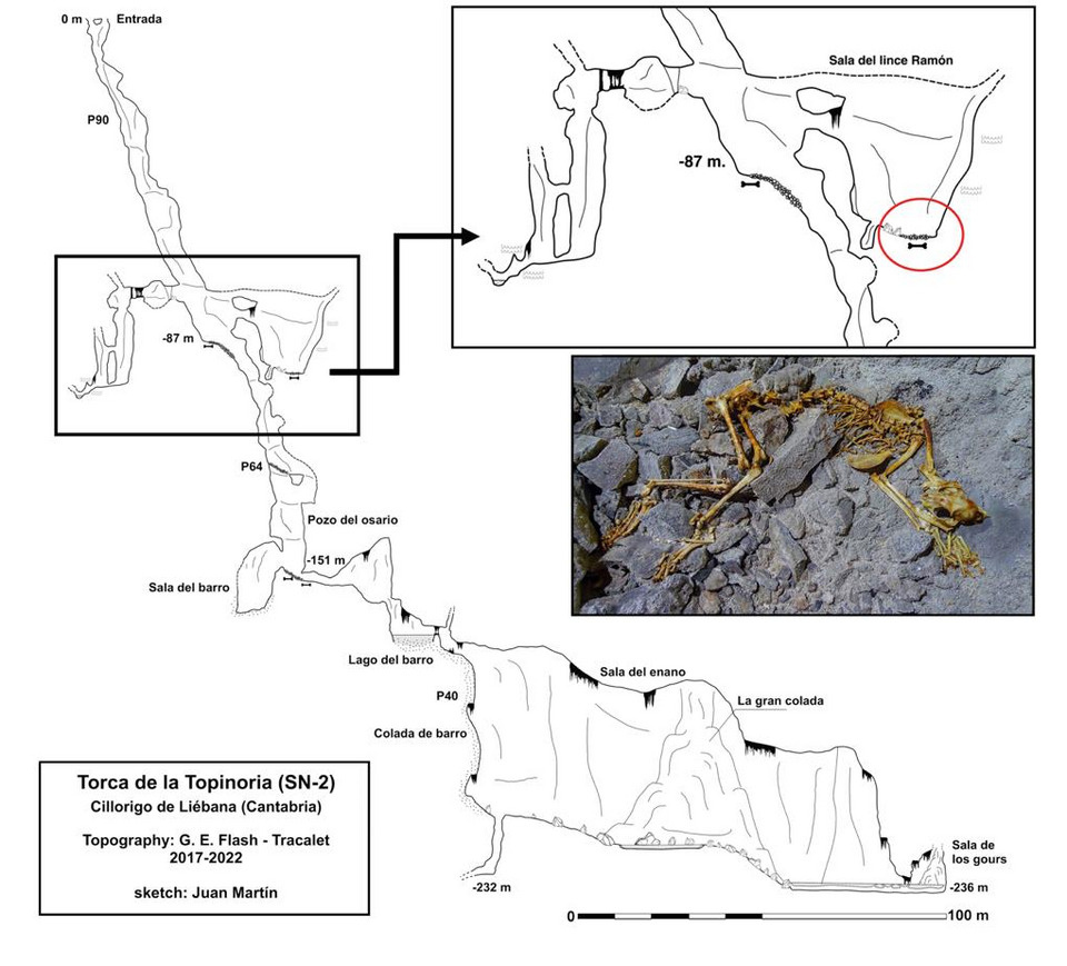   Eva Fernández-Bejarano et al. / bioRxiv, 2025
