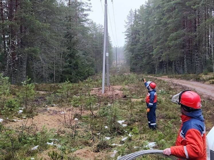     Специалисты также установили 120 новых усиленных железобетонных опор, заменили четыре устаревших разъединителя 10 кВ. Фото: telegram-канал главы Валдайского округа Юрия Стадэ