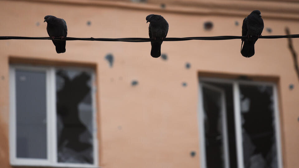     Жилой дом в Липецке поврежден из-за атаки дронов ВСУ EDUARD KORNIYENKO/URA.RU/TASS