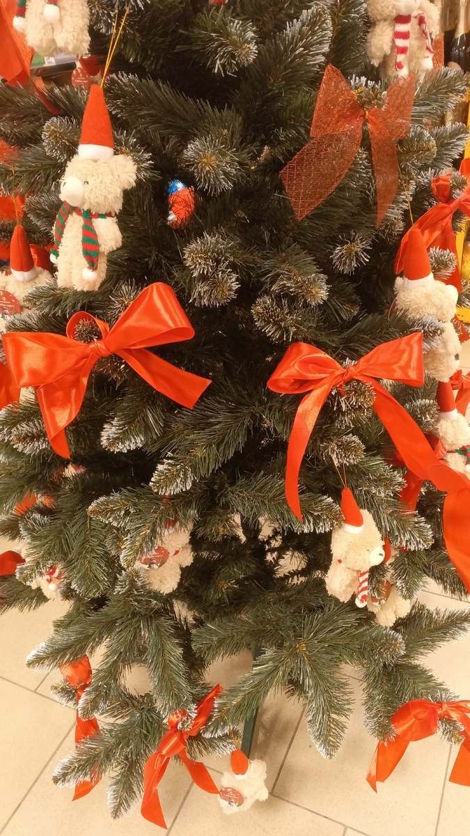 фото автора: елочка, фото сделала в Пятёрке