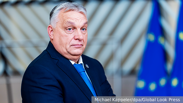     Фото: Michael Kappeler/dpa/Global Look Press   
 Текст: Вера Басилая