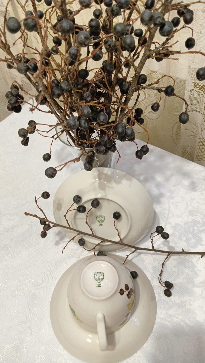 Ягодка ты моя. Фото автора 