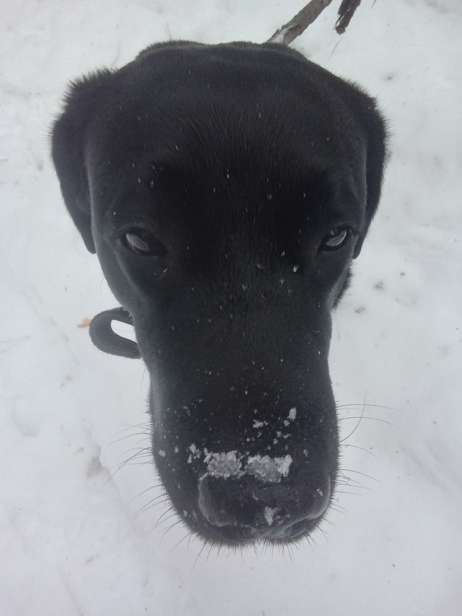 Фото автора.