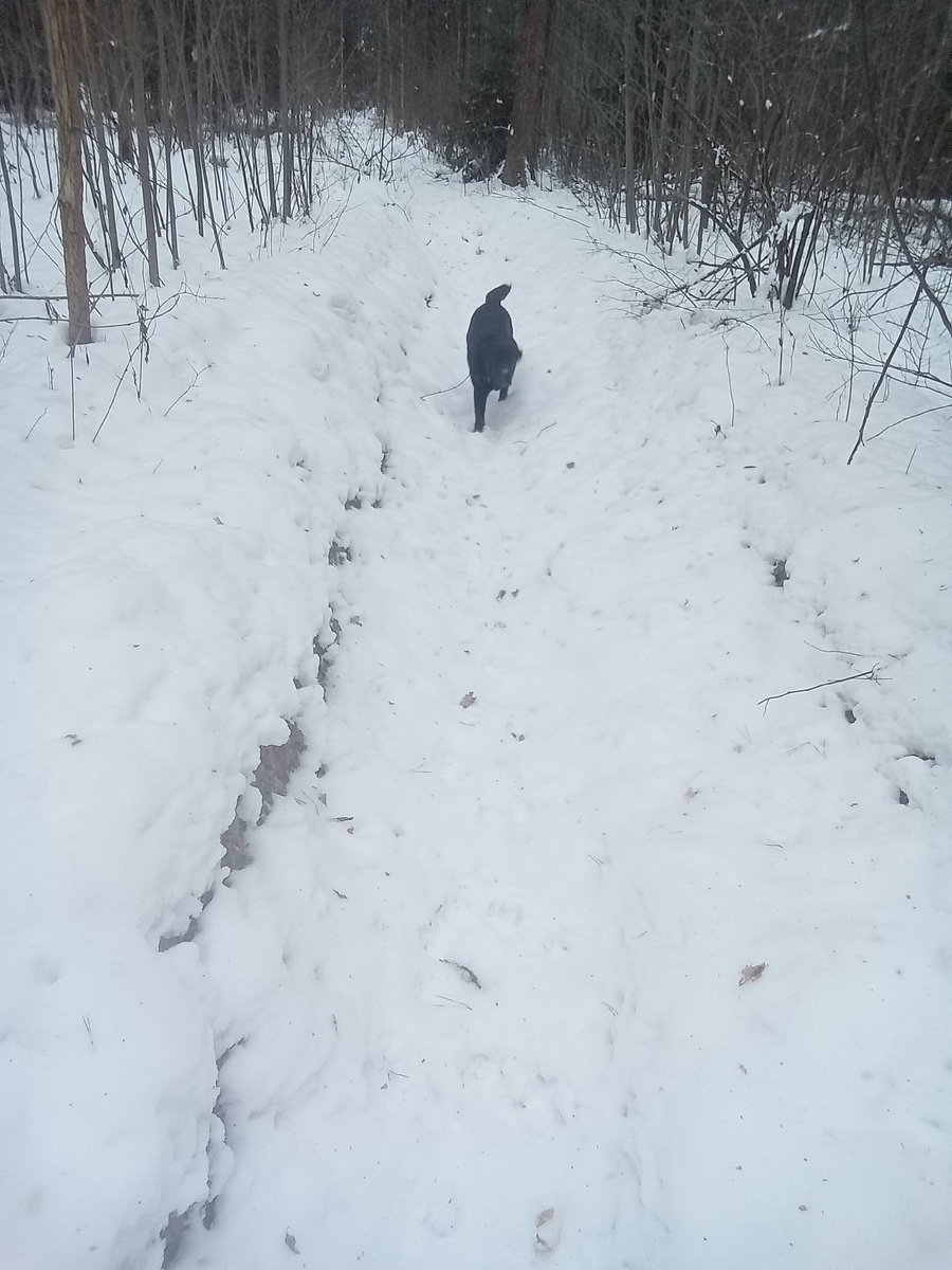 Фото автора. 