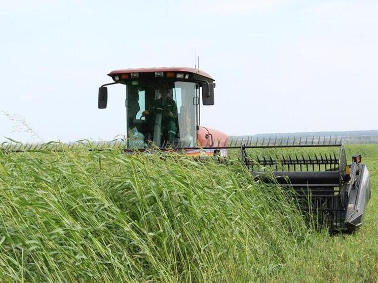     Фото: "МК на Кубани"