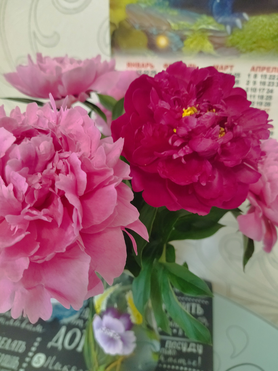 Летней красоты вам в ленту в зимние холодные дни)) 